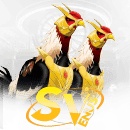 SABUNG AYAM